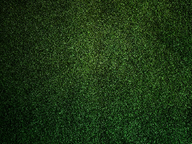 Maridaje perfecto: Te verde y miel, un dúo internacional lleno de beneficios